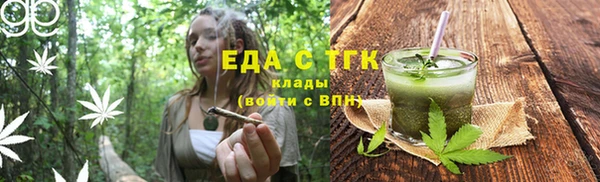 шишки Каменка