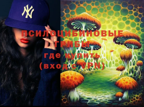 mdpv Каменск-Шахтинский